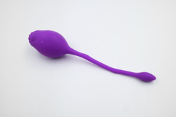 Фиолетовое перезаряжаемое виброяйцо Rosie с пультом ДУ