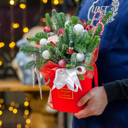 Новогодняя композиция в красном оформлении с нобилисом