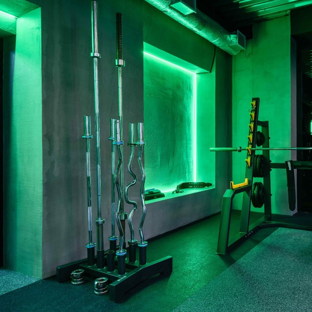 A3010 Вертикальный держатель для олимпийских грифов (на 8 шт) TANGEN