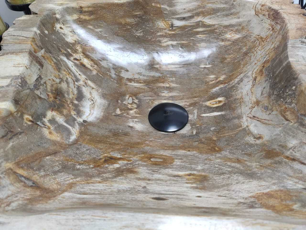 Раковина из окаменелого дерева OD-60142 55*47*16