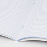 Тетради предметные, КОМПЛЕКТ 10 ПРЕДМЕТОВ, КЛАССИКА, 48 листов, BRAUBERG, 403559