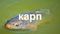Карп