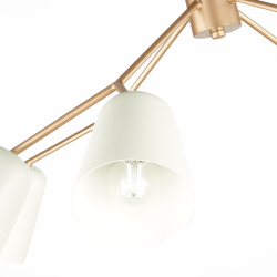 Светильник потолочный Evoluce Mario SLE155902-08