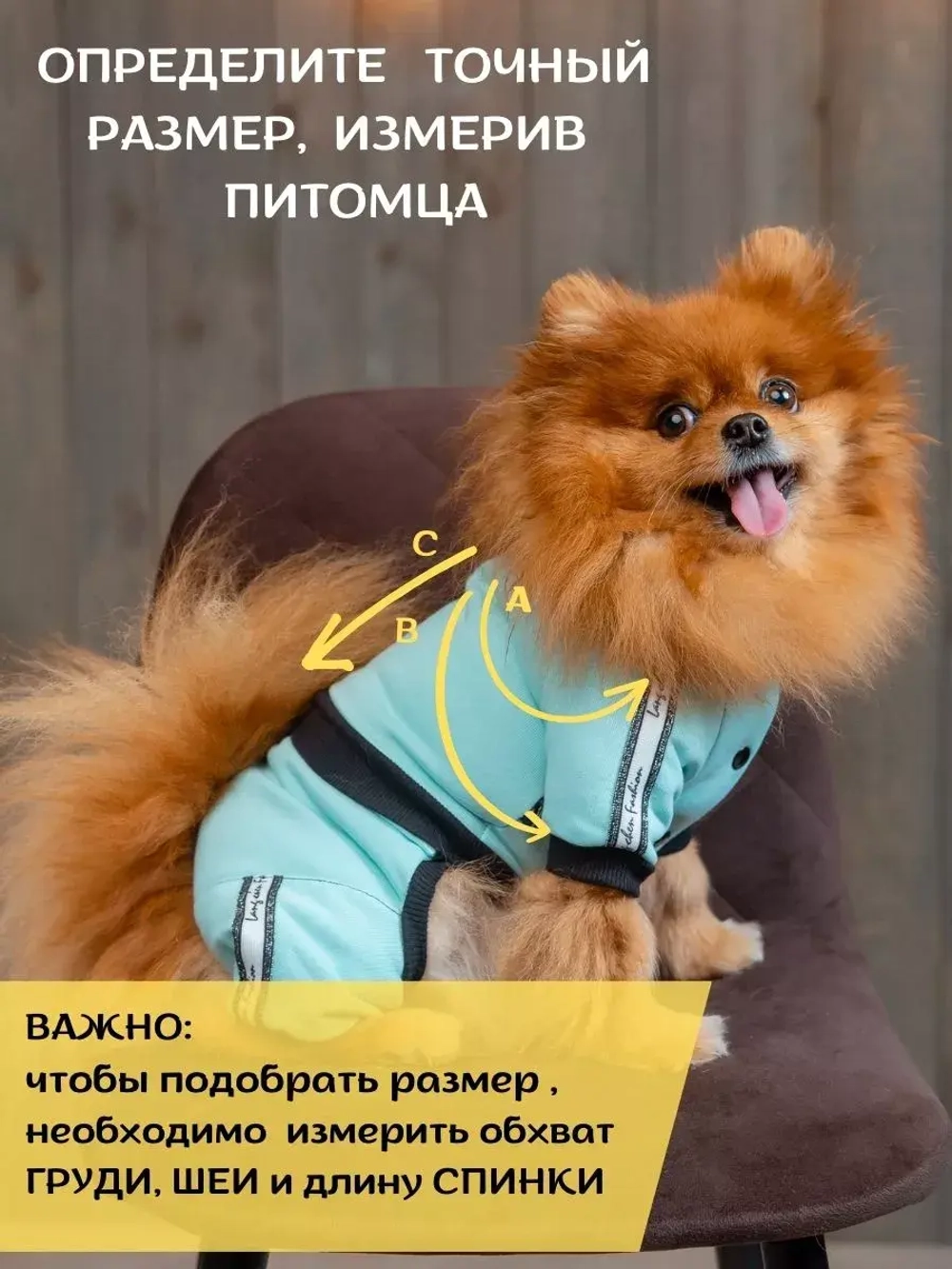 Спортивный комбинезон костюм для собак