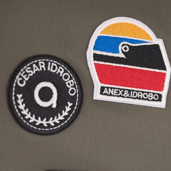 Детская коляска Anex Flo 2 в 1 Cesar