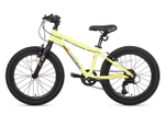 Maxiscoo 3BIKE 20'' M (2025)