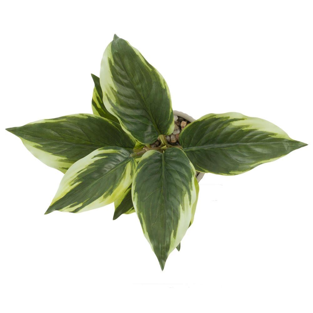 GAEM Цветочная композиция "Спатифиллум", L24 W22 H25 см