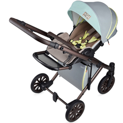 Детская коляска Anex e/type 3 в 1 wilson