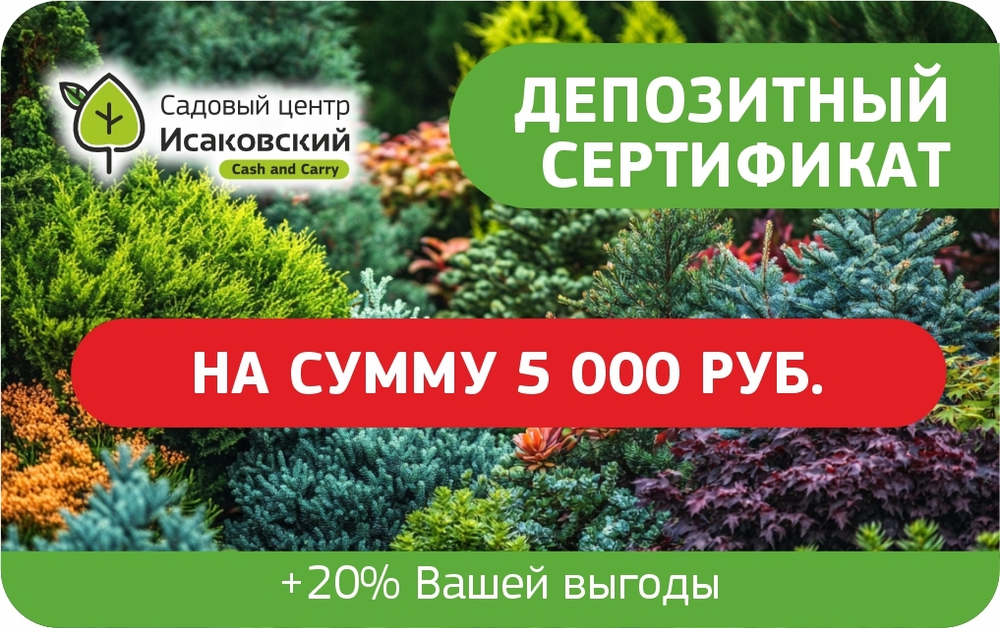 Депозитный сертификат