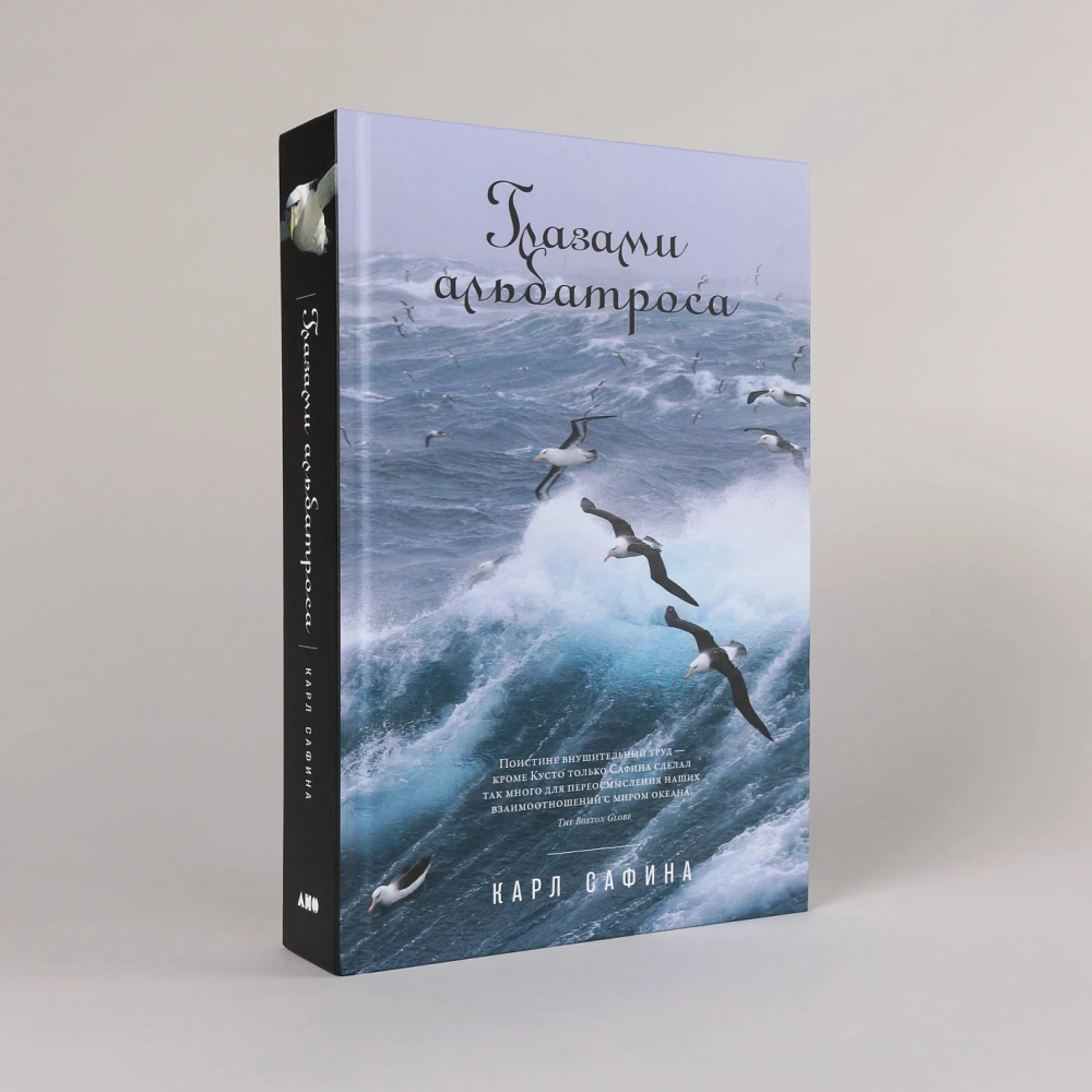 Глазами альбатроса