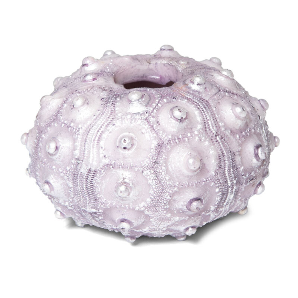 Коралл искусственный "Фораминифера", M, 75*75*45мм, Laguna