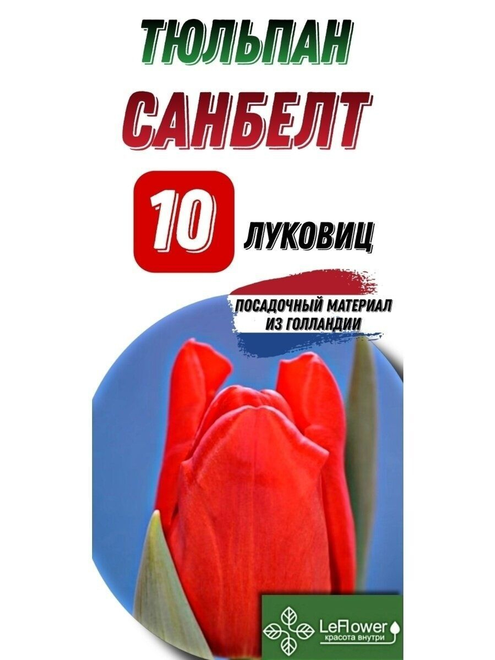 Тюльпан Луковица, Санбелт, 10шт