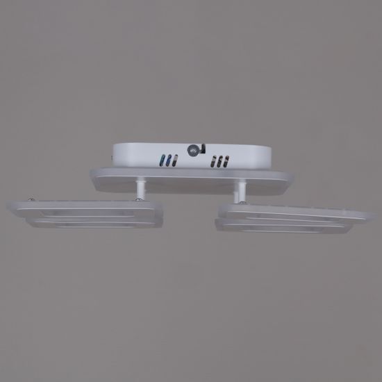 20536-0.3-4+1S WT светильник потолочный