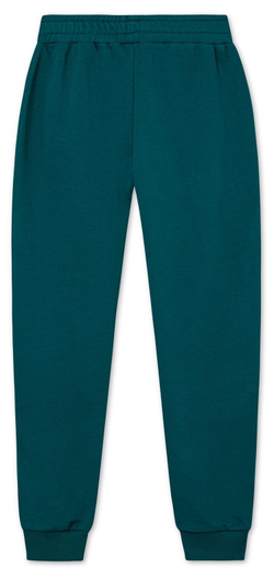 Мужские теннисные штаны Fila Hemi Track Pants Men - storm