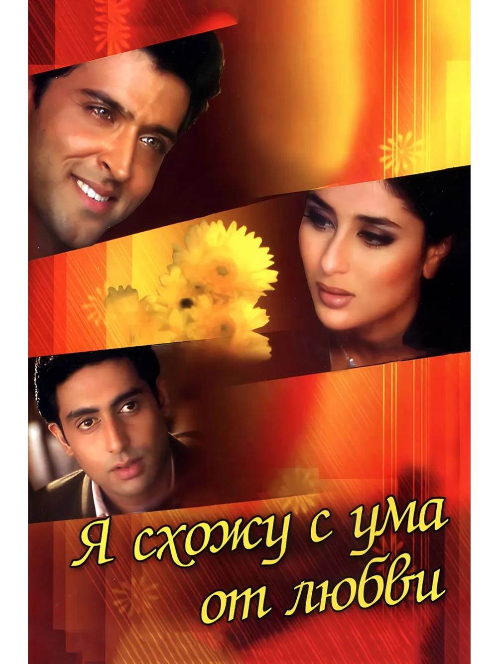 Я схожу с ума от любви (2003) (DVD-R)