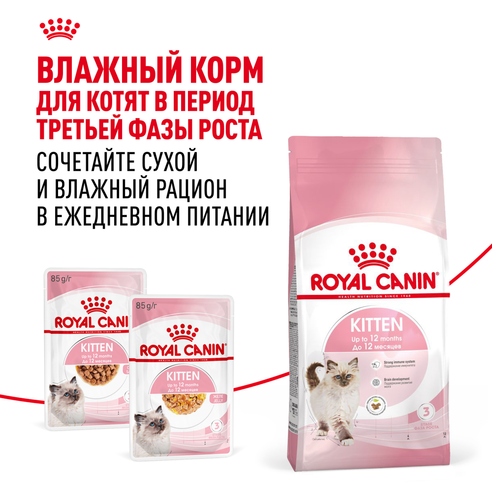 Royal Canin Kitten Киттен Корм сухой сбалансированный для котят в период второй фазы роста до 12 месяцев 300г