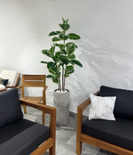 5.23. Искусственные растения в кашпо для мебельного салона.