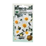 Семена Георгина Серебрянная лента 0,5гр