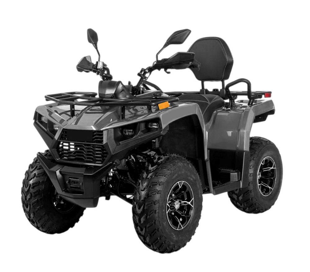 Квадроцикл BIZON YK250 Lux EFI