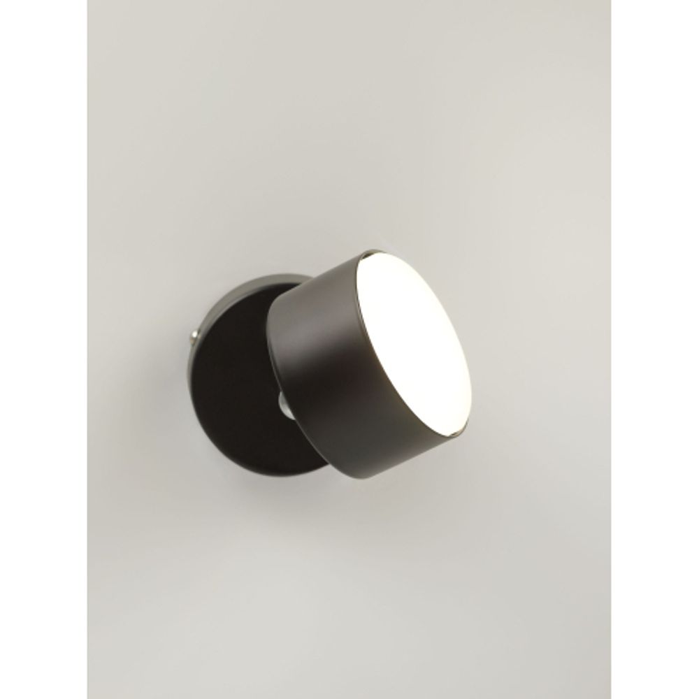 Светильник настенно-потолочный спот Rivoli Alesta 7079-701 1хGX53 15 Вт поворотный | Rivoli