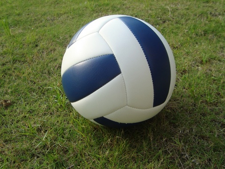 Мяч волейбольный (звенящий)