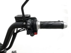 Электроскутер SKYBOARD BR100-5000 (Amur)