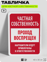 Табличка для частной территории "Частная собственность, проход воспрещен", на дом, для участка, организаций, предупреждающая, 40х30 см, Silver Plane x Айдентика Технолоджи