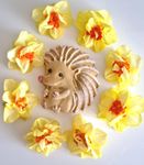 Надежда Усачева