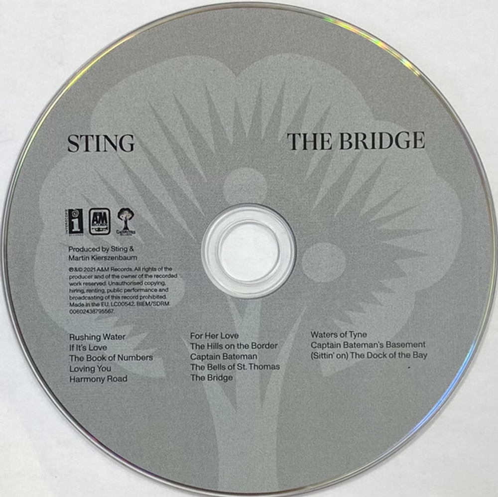 Sting / The Bridge (Deluxe Edition Box Set)(CD)