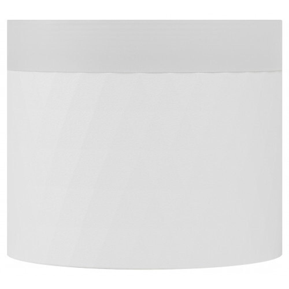 Светильник настенно-потолочный спот ЭРА OL37 WH под GX53 IP20 белый