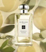 Jo Malone Grapefruit