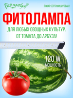 Фитолампа полный спектр