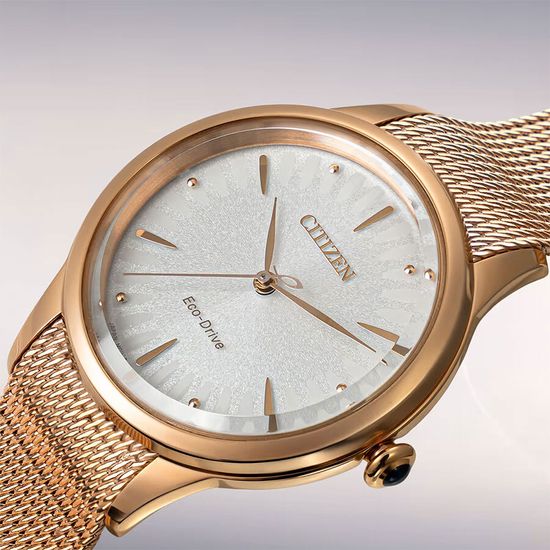 Наручные часы Citizen EM1153-88A