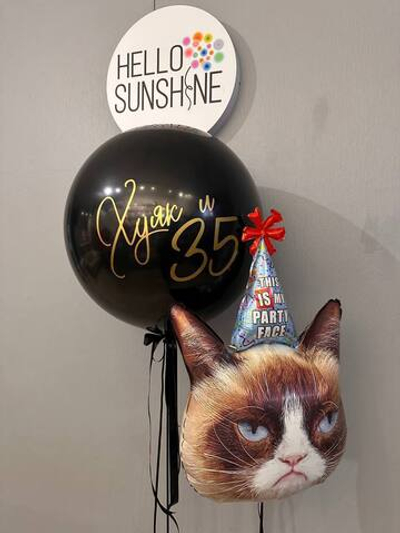 Набор шаров Неожиданность