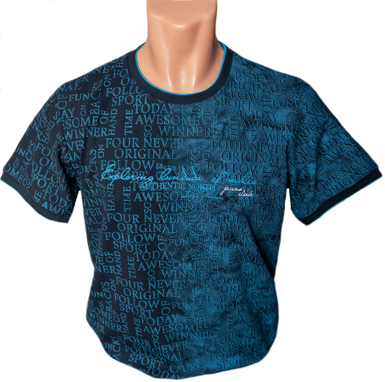 Футболка мужская REDDOWN (Турция) p-p 48-54