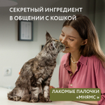 Лакомство для кошек лакомые палочки из цыпленка и утки Мнямс 3х5 г, 35 шт в упаковке
