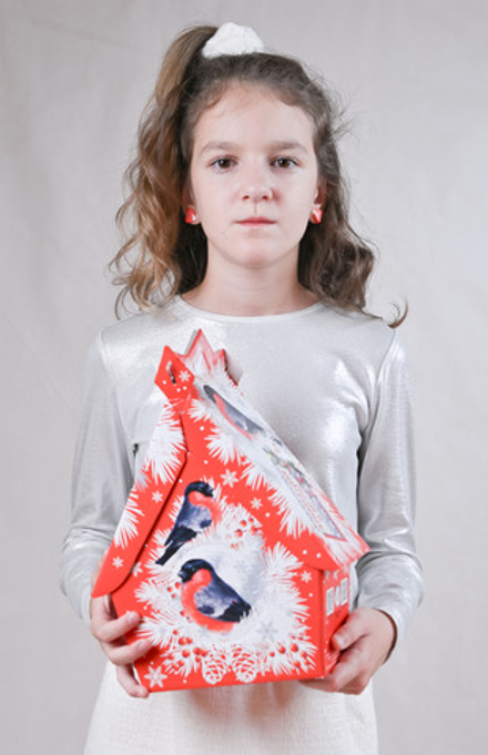 Сладкий новогодний подарок "Лесное угощение" 1кг