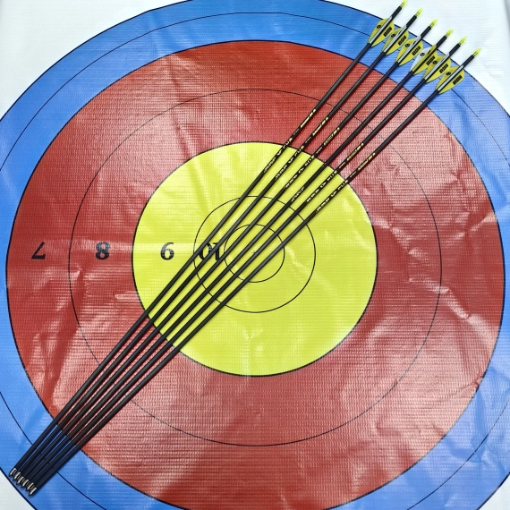 Стрелы MUSEN Archery Fox из чистого карбона sp600 4,2 мм 30 дюймов (6 шт.)
