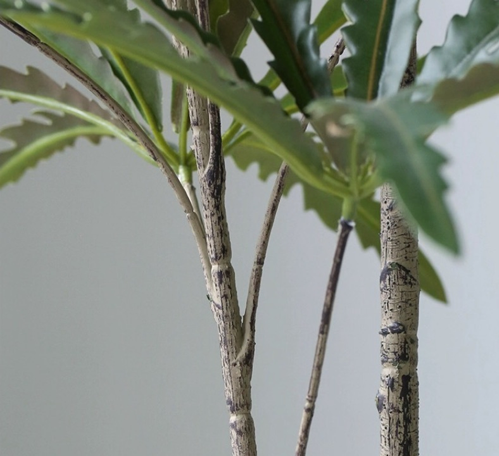 Дизиготека 165 см