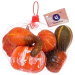 Муляж «Тыковки» 7 шт в сетке