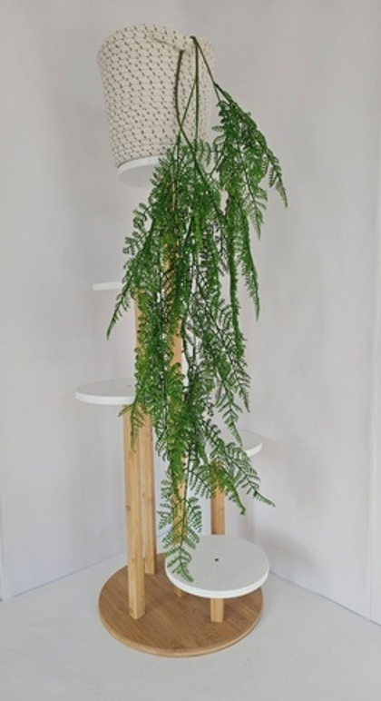 Папоротник перистый / Арт 4401