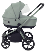 Детская коляска Rant Flex Therm Soft 3 в 1 с автокреслом Evomax Grey Forest Green