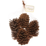 Композиция новогодняя «Шишки из леса» (набор 6 шт) 14 см