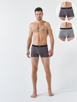 Набор мужских боксеров TMS2-9173/2