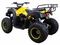 Квадроцикл ATV Classic 200