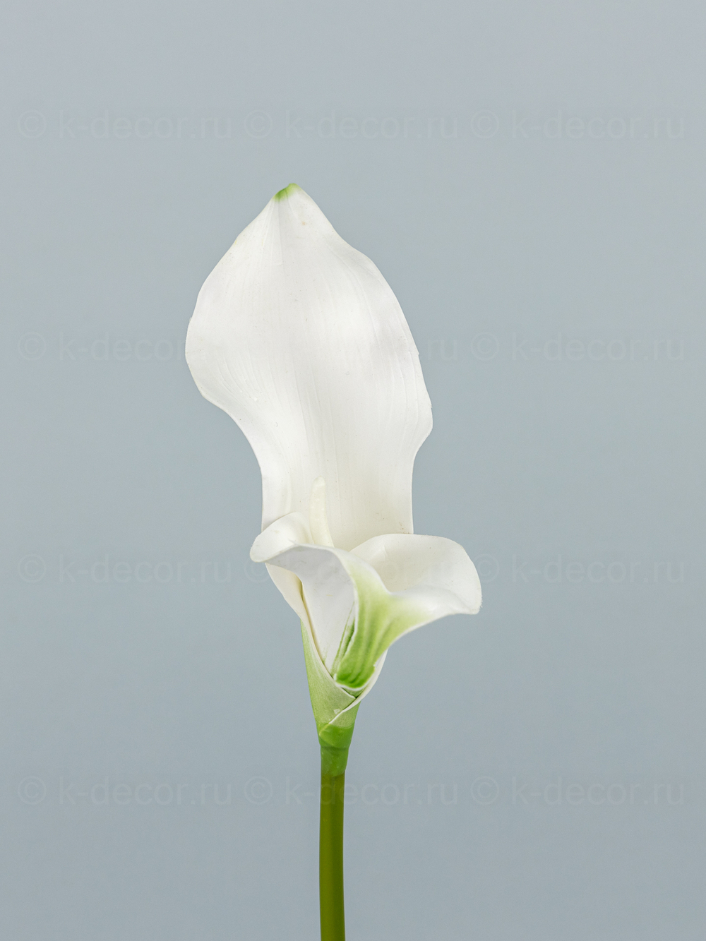 Каллы латекс БИГ