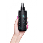 Антибактериальное средство Erotist Toy Cleaner для обработки игрушек 250 мл.