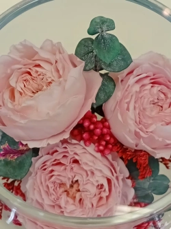 натуральные пионы в стекле, вакуум*