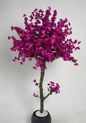 «Мастерская Декора и Деревьев Краснодар»