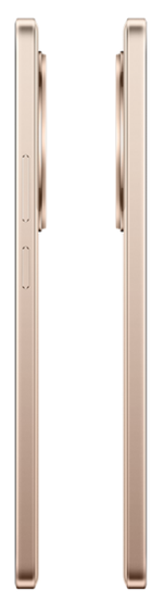 Смартфон  Realme 13+ 5G (8+256)